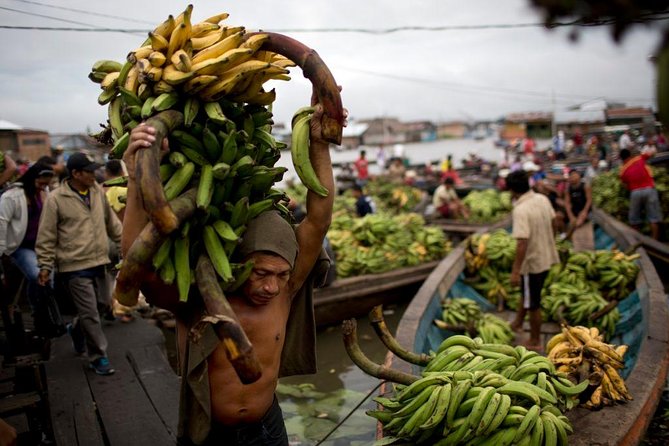 Iquitos City Tour (FULL DAY) - Overview of Iquitos City Tour