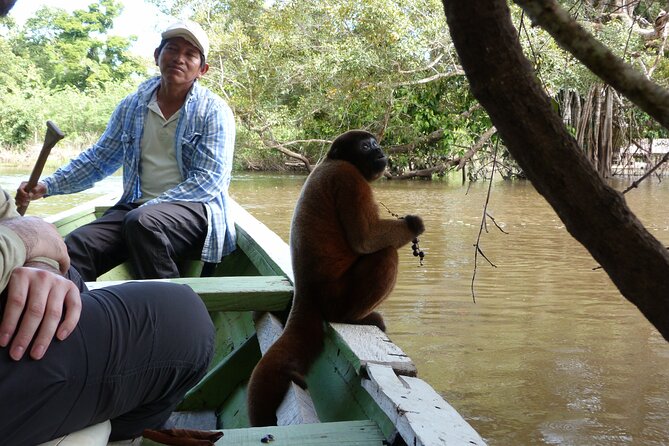 Iquitos Jungle 4 Days Private Tour -Native Community Project- - The Sum Up