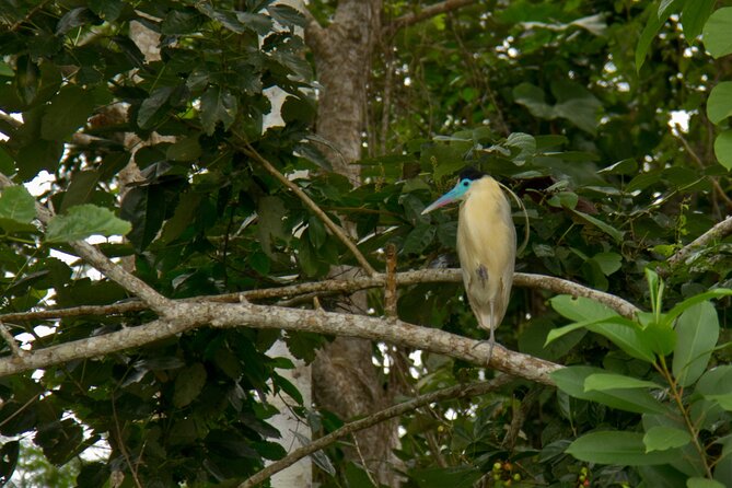 Iquitos Private 5-Day Wildlife Spotting Tour - Inclusions