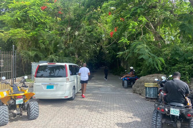 Island Tour Nassau (Half Day City Tours, Free Pickup) - Tour Reviews