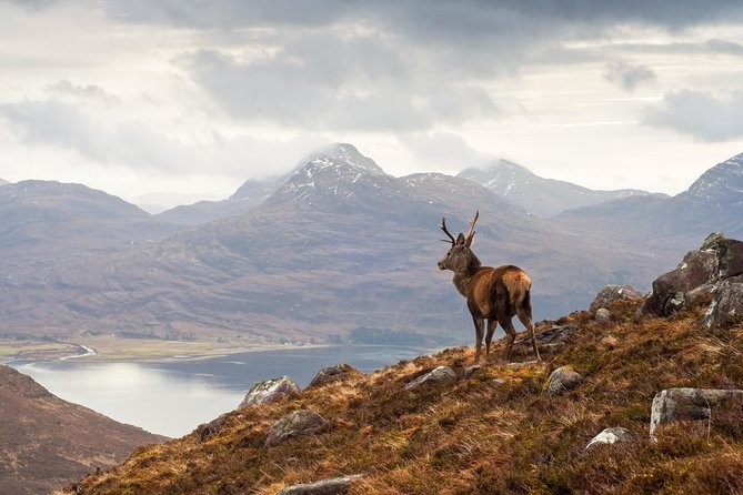 Isle of Skye, the Highlands and Loch Ness - 3 Day Tour From Glasgow - Tour Details and Information