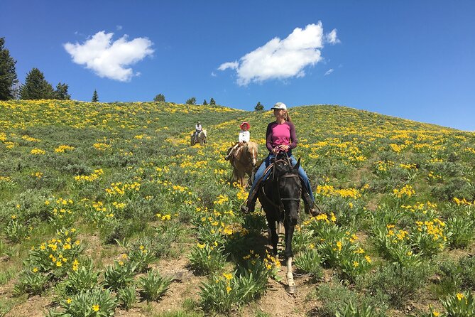 Jackson Hole Horseback Riding in Bridger Teton National Forest - Meeting and Pickup