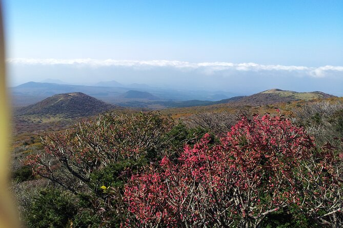 Jeju Island의 개인 택시로 한라산 하이킹 코스로 이동 - 편도 - Benefits of Using a Private Taxi for Hiking Mount Hallasan