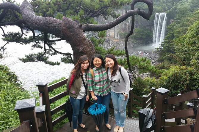 Jeju Private Half-Day Taxi Tour - South of Jeju Island - Tour Highlights