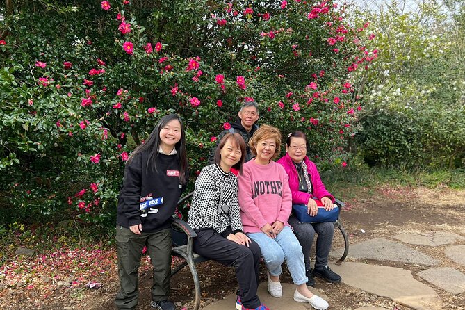 Jeju Private Half-Day Taxi Tour - West of Jeju Island - Pricing and Guarantee