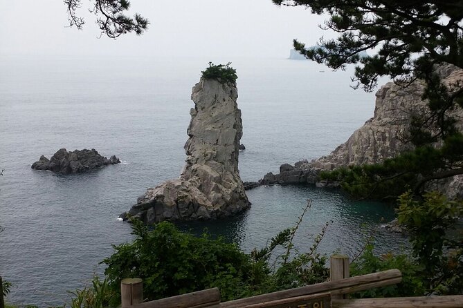 JEJU TAXI TOUR - East of JEJU ( Included Drop-Off JEJU Airport ) - Tour Itinerary and Highlights