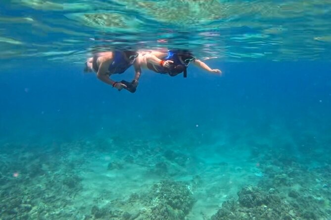 Jet Snorkeling in Turtle, Dolphin and Monk Seal Bay - Booking and Accessibility