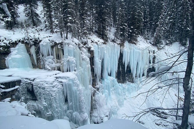 Johnston Canyon Private Guided Icewalk - Cancellation Policy and Weather Conditions