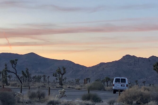 Joshua Tree National Park Driving Tour - Logistics and Cancellation Policy