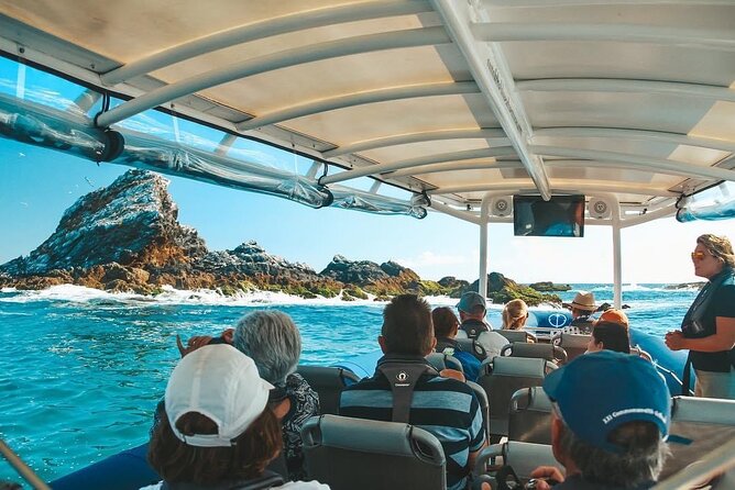 Julian Rocks Byron Bay: Coastal Discovery Cruise - Cruise Highlights