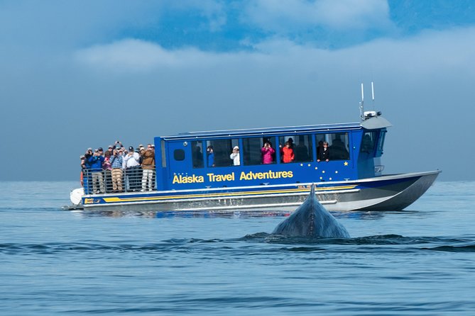 Juneau Whale Watching and Salmon Bake - Tour Details