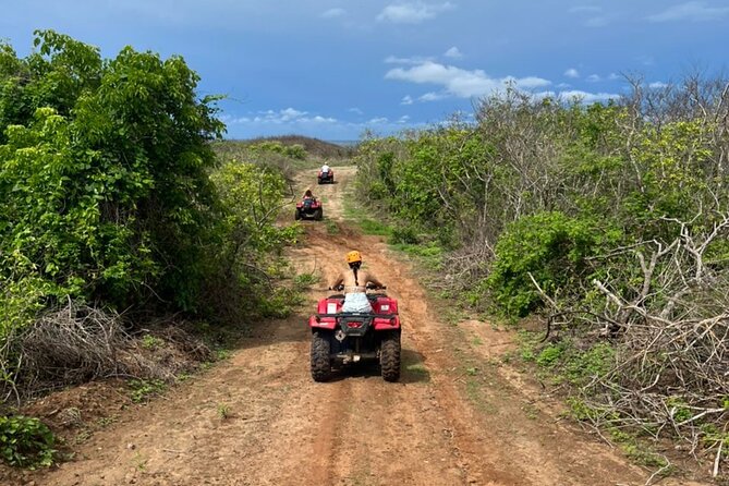Jungle and Beach ATV Tour Lunch Tequila Tasting - Positive Reviews and Highlights