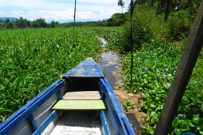 Jungle Coyuca Lagoon Boat Ride Experience & Baby Turtle Release - Overview of the Tour