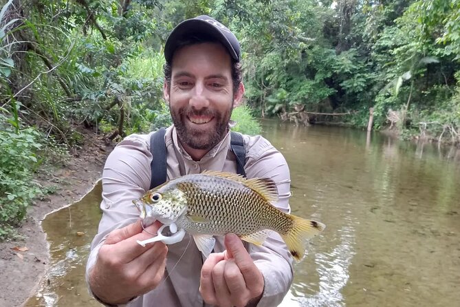 Jungle Perch Half Day Adventure in Cairns - Important Information About the Tour