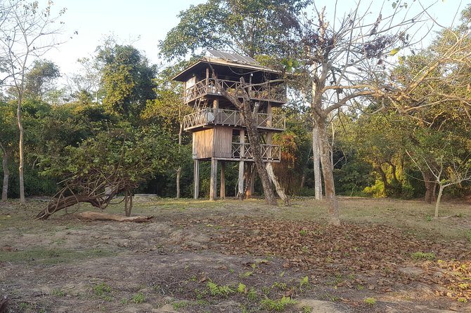 Jungle Towernight Stay In Chitwan National Park ,nepal-2 Nights 3 Days Package - Accommodation and Experience Details