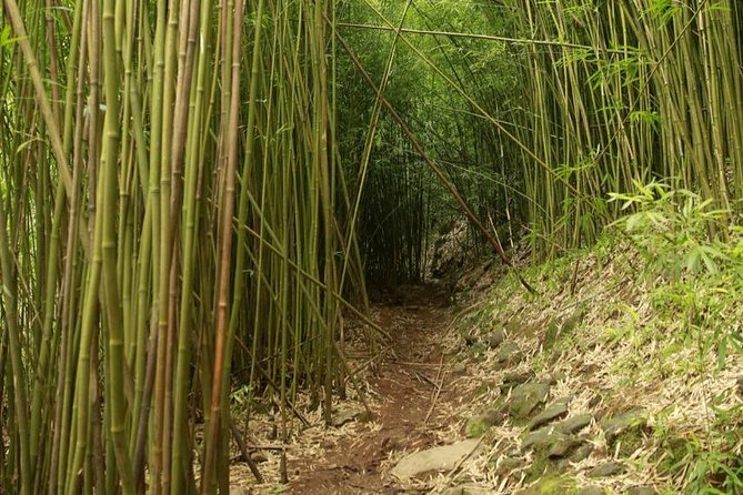 Kahului Private Half-Day Waterfall and Rain Forest Tour  - Maui - Meeting and Pickup Details