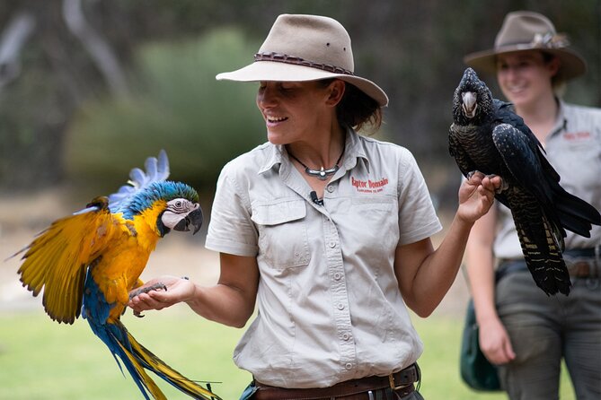 Kangaroo Island Iconic Sights and Wildlife Full-Day Tour - Tour Duration and Highlights
