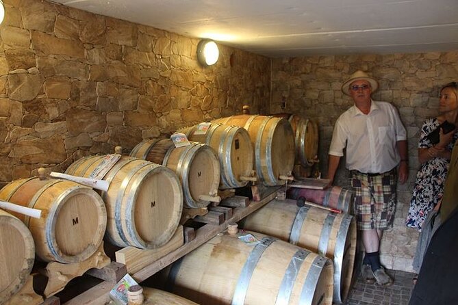 Karrebæksminde Vineyard Small-Group Guided Tour and Tastings  - Denmark - Danish Wine: Exploring the Delicious Delights