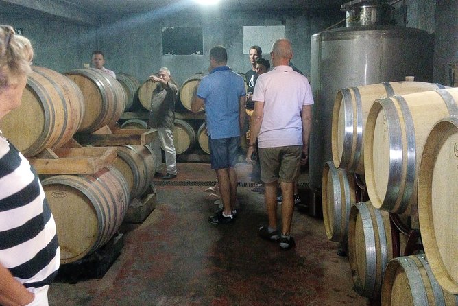 Katakolon Shore Excursion: Private Wine-Tasting Tour of Mercouri Estate Winery - Cancellation Policy