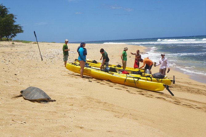 Kauai Sea Kayaking 10 Mile Tour - Na Pali Iki (Polihale to Milolii) - Tour Overview and Highlights