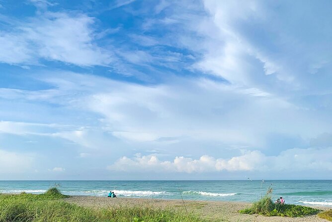 Kayak and Paddleboard Rentals at Siesta Key - Overview of the Experience