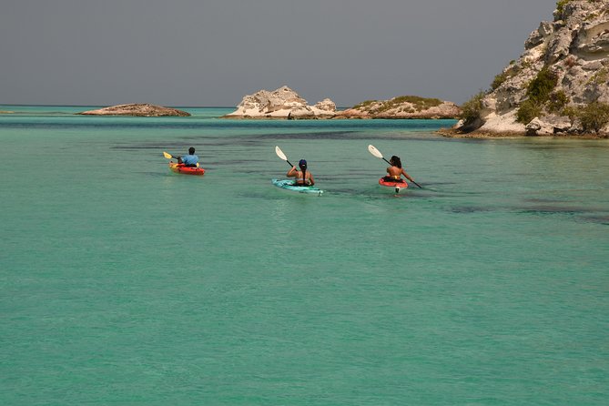 Kayak Eco Tour - Weather and Traveler Requirements
