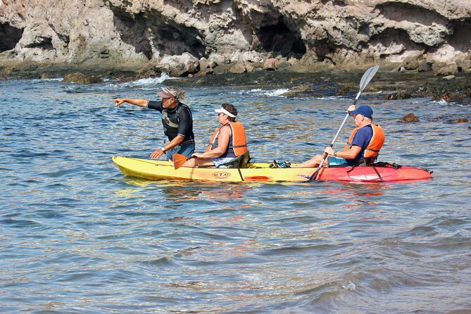 Kayak Excursion to Papagayo - Overview and Booking Details