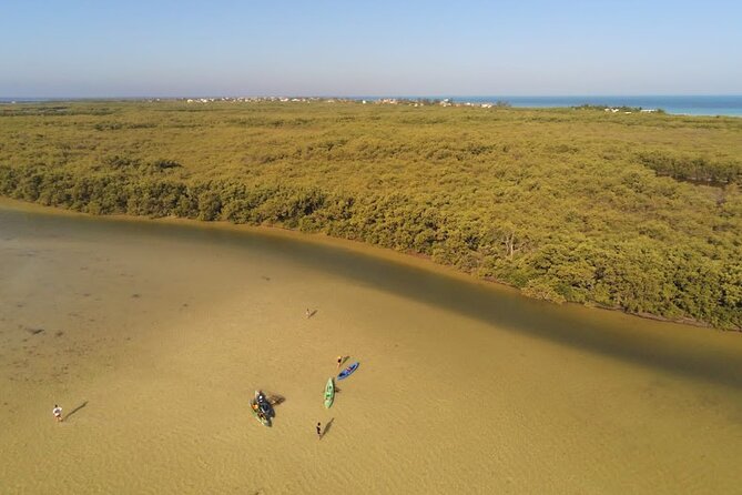 Kayak Experience in the Mangroves of Holbox Island - Join a Guide for a Relaxing Journey