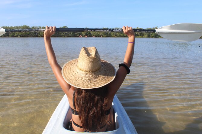 Kayak Mangroves Sunrise Experience - Pickup and End Point Details