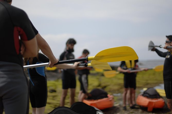 Kayak & Snorkel Tour in the Strait of Gibraltar - Additional Information