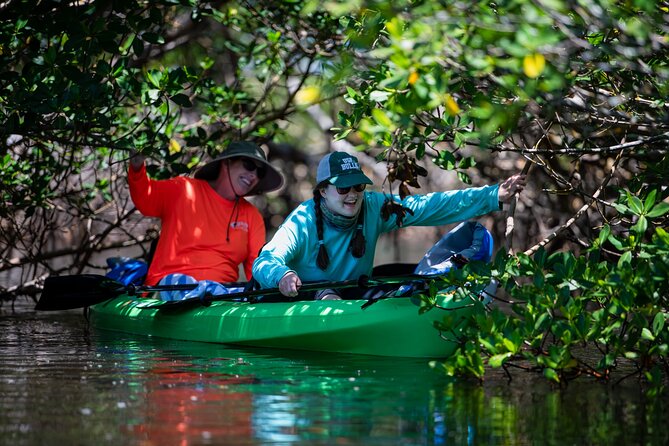 Kayak Tour at Shell Key With Capt Yak - Logistics and Facilities