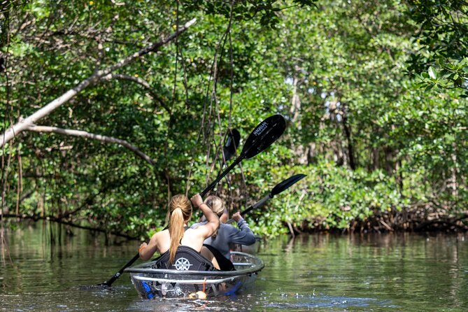 Kayak Tour in North Miami Beach - Mangrove Tunnels - Overview and Inclusions