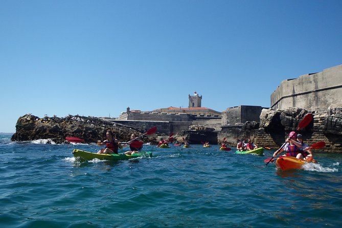 Kayak Tour of Lisbon - Tour Highlights