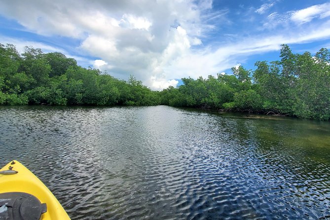 Kayak Tour of Mangrove Maze From Key West - Lowest Price Guarantee