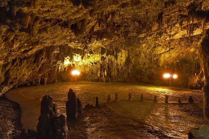 Kefalonia Island Bus Tour- Wine Tasting, Melissani & Fiscardo