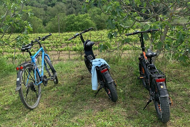 Kefalonia Wine Tour on Fatbikes (e-bikes) - Discovering Kefalonias Wine Culture on Two Wheels