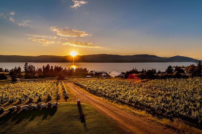 Kelowna Wine, Vines and Distillery Tasting Tour - Customization and Pricing