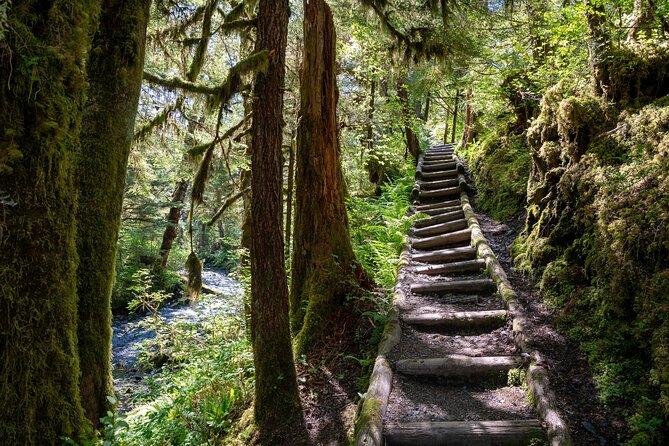 Ketchikan Magical Old-Growth Creek Trek Guided Tour - Tour Overview and Details