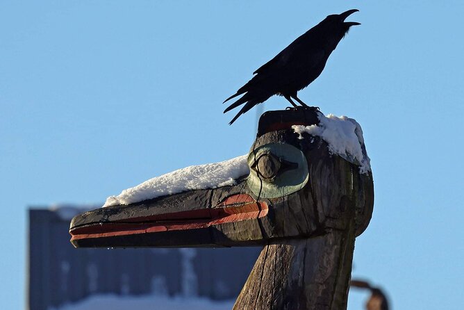 Ketchikan Private Wildlife and Native Village Tour - Tour Overview and Activities