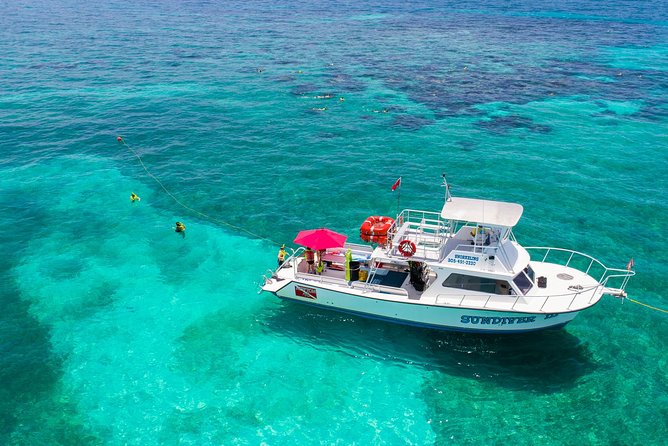 Key Largo Snorkeling Tour - Rental Mask, Fins and Vest INCLUDED - Tour Overview