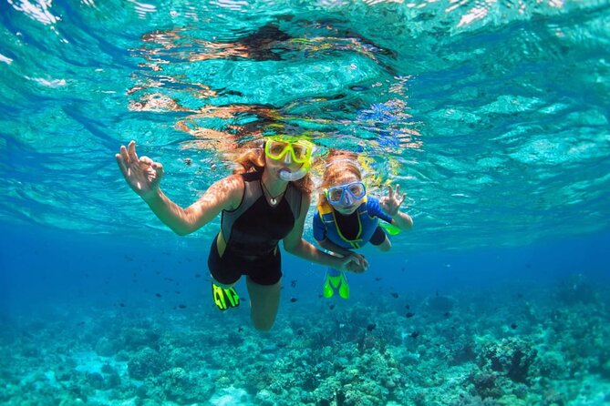 Key West: Dolphin Watching Cruise & Snorkeling Unlimited Beer & Soda - Pricing and Booking