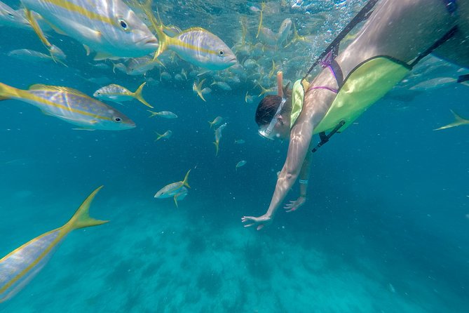Key West Florida Reef Half-Day Snorkeling Excursion - Overview of the Cruise
