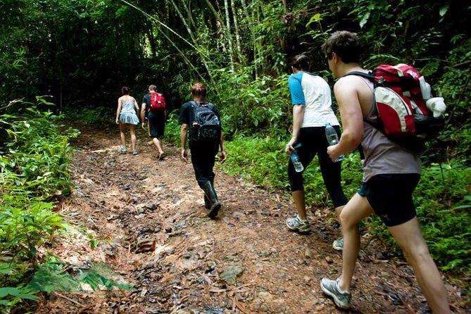 Khao Sok National Park Hiking and Canoeing Day Tour From Khao Lak - Tour Highlights