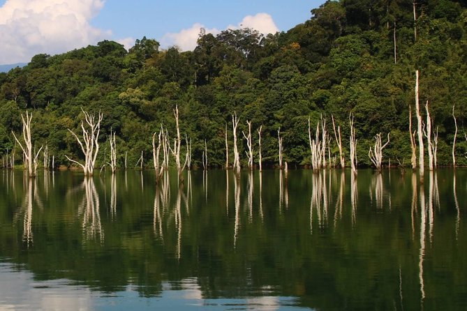 Khao Sok Wildlife 2 Days - Accommodation and Facilities