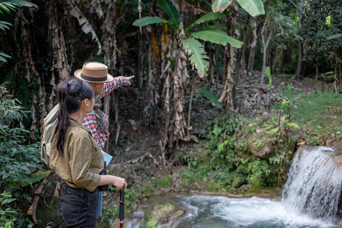 Khaolak Elephant Sanctuary, Cooking Class and Waterfall Tour - Pricing and Booking