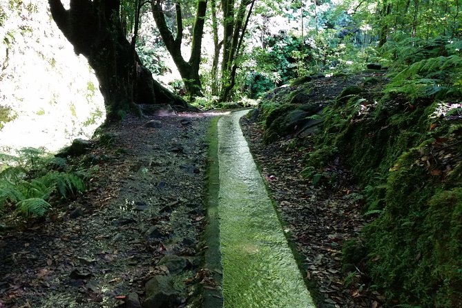 Kings Levada - São Jorge - Weather and Minimum Traveler Requirements