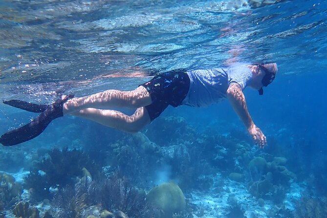 Klein Bonaire Marine Park Snorkeling Excursion - Snorkeling Spots and Marine Life in Bonaire
