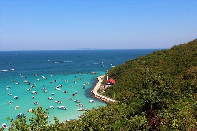 Koh Larn Trip From Pattaya Including Seafood Lunch - Negative Experiences With the Tour Operator