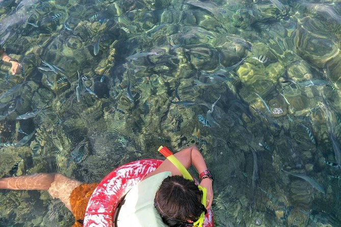 Koh Samui Snorkeling and Kayaking - Top Snorkeling Sites in Koh Samui