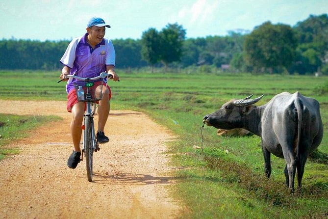 Koh Yao Noi Full Day Tour With Bike Ride & Lunch - Bike Ride Experience